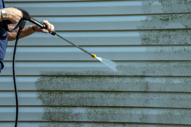 Best Deck and Patio Pressure Washing in Oneida, NY